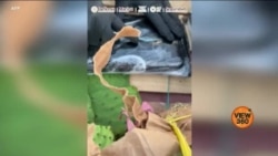  ٹیرف لگانے سے امریکہ کو کیا فائدہ ہوگا؟