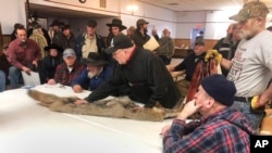 In this Feb. 2, 2019 photo, potential buyers examine a coyote pelt on a table at a trappers' auction in Herkimer, N.Y. (AP Photo/Michael Hill)
