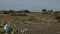 IGAD: Ukame wasababisha ukosefu mkubwa wa Chakula Pembe ya Afrika