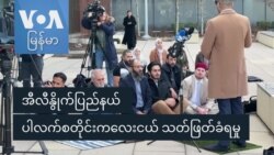 အီလီနွိုက်ပြည်နယ် ပါလက်စတိုင်းကလေးငယ် သတ်ဖြတ်ခံရမှု