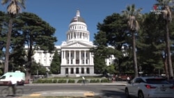 «Քաղաքը ապաստանի վայր չէ ապօրինի ներգաղթյալների համար, որպեսզի կանխվեն հանցագործությունները»