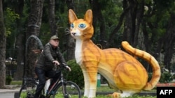 A man rides a bicycle past a cat statue at Thong Nhat Park in Hanoi, ahead of the lunar new year, Jan. 16, 2023.