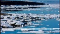 መጠን ሙቐት ግሪንላንድ ኣብ ውሽጢ 1000 ዓመታት ዝለዓለ ምምዝጋቡ ተመራመርቲ ገሊጾም