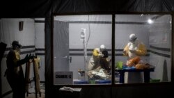 Quiz - Scientists Make Progress on Ebola Virus Treatment