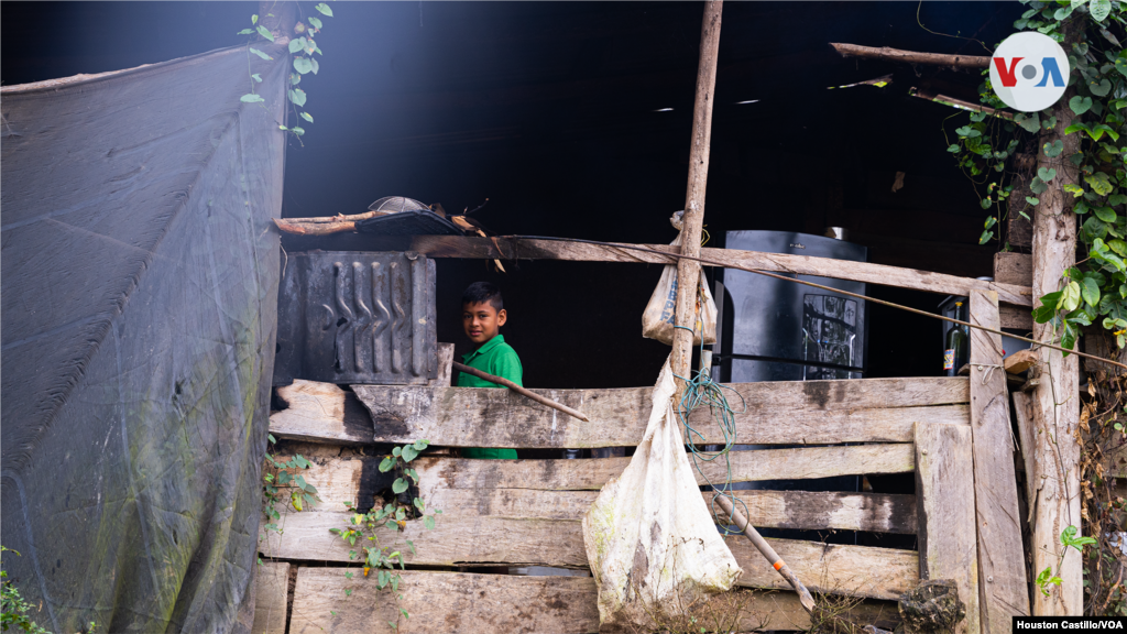Varios niños viven en el campamento de doña "Chica" y acuden a clases en un colegio cercano. Foto Houston Castillo, VOA
