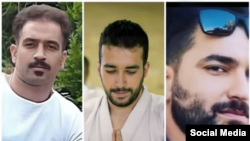 از راست: مجید کاظمی، صالح میرهاشمی، و سعید یعقوبی