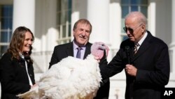 El presidente de Estados Unidos, Joe Biden, ofrece el perdón a Chocolate, el pavo nacional de Acción de Gracias, en la Casa Blanca en Washington DC, el 21 de noviembre de 2022.