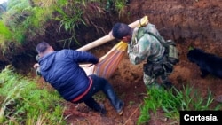 Militares colombianos evacuan con una camilla improvisada a las familias damnificadas por el deslizamiento de tierra en la vía Panamericana, el 9 de enero de 2023. [Foto: Cortesía Ejército de Colombia] 