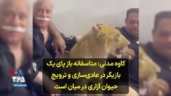 کاوه مدنی، پژوهشگر محیط زیست:متاسفانه باز پای یک بازیگر در عادی‌سازی و ترویج حیوان آزاری در میان است