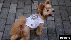 JAPAN-DOGS/WEARABLE FAN