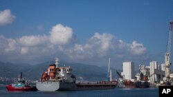 土耳其Polarnet號貨輪裝載烏克蘭糧食抵達土耳其代林杰港（2022年8月8日）