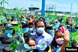 Public Health Minister Anutin Charnvirakul attends a campaign to give away 1 million free cannabis plants in Buriram Province, Thailand, June 10, 2022.