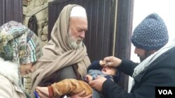 جریان کمپاین فلج اطفال در ولایت بلخ، جنوری سال ۲۰۲۲