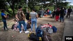 Migrantes nicaragüenses en territorio de Costa Rica esperando transporte público para trasladarse a San José y a diferentes destinos del territorio del sur. [Oscar Navarrete: La Prensa- VOA]