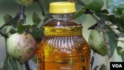 Los nutricionistas intentan reducir el problema de la obesidad infantil y proteger la salud dental de los menores.