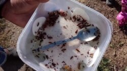 Najezda bubašvaba i stenica na kontejnersko naselje u Gračanici