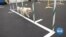 Dogs Hit the Canine Gym for Exercise