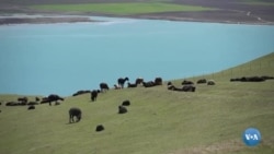 Qirg'iziston-Oʻzbekiston chegara muammolari davom etmoqda