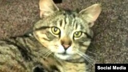 اولی بعد از سه سال به خانه بازگشت