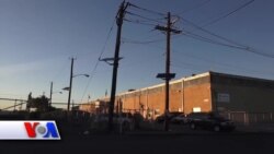 Boshpana so'rayotganlar