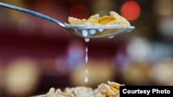 Researchers say that hearing the sounds made while eating may cause people to eat less.(BYU)