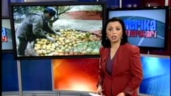 Hujjatsiz muhojirlar yuzlashadigan muammolar/Migrant farm workers and their rights