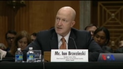 Помилки США щодо України прямо назвали у Сенаті. Відео