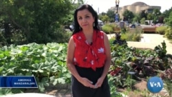 AQSh ilm dargohlarida jinsiy tajovuzlar