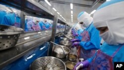 FILE - Workers peel shrimp at the Thai Union factory in Samut Sakhon, Thailand. 