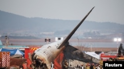 Inyoni zagonganye n'indege yari itwaye abagenzi 181 muri Koreya y'Epfo abagera 179 barapfa.