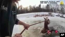 "สไลย์" ม้าเพศผู้ นำ้หนัก 590 กิโลกรัมตกลงในบึงที่มีนำ้เเข็งเย็นจัดในตอนเหนือของรัฐนิวยอร์ก 24 ก.พ. 2025