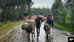 Le Parlement éthiopien a prolongé début février pour quatre mois l'état d'urgence instauré en août 2023 en Amhara pour tenter de réduire l'insurrection des Fano.