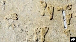 This undated photo made available by the National Park Service in September 2021 shows fossilized human fossilized footprints at the White Sands National Park in New Mexico. According to a report published in the journal Science on Sept. 23, 2021. (NPS via AP)