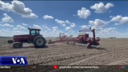 Ndikimi i luftës në Ukrainë në rritjen e çmimit të drithërave