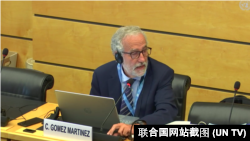 联合国人权事务委员会委员卡洛斯·戈麦斯·马丁内斯 （Carlos Gomez Martinez）2022年7月6日向香港特区政府代表团提问。（联合国网站截图）