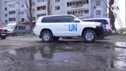 En medio de la guerra, voluntarios en Ucrania ayudan a desplazados y mascotas