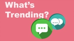 Mandarin Duck Excites New Yorkers