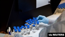 FILE - A lab technician inspects filled vials of the investigational coronavirus disease treatment drug remdesivir, at a Gilead Sciences facility in La Verne, California, March 11, 2020. 