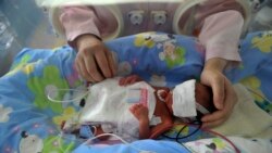 Quiz - Mother's Milk Is Best for Smallest Humans