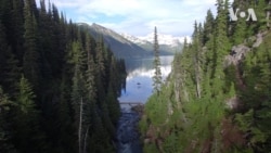 Українська Джульєтта – "Лісова пісня" Лесі Українки зачарувала американців. Відео