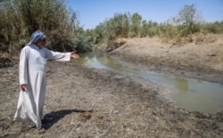 خشکسالی هورها و آبگیرهای خوزستان، زندگی روز مره مردم این منطقه در جنوب غربی ایران را با مشکل مواجه کرده است.
