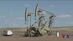 Tramp ekologlarni xafa qildi