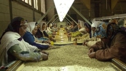 የኢትዮጵያ የተፈጥሮ ሀብቶች ባለቤትነት