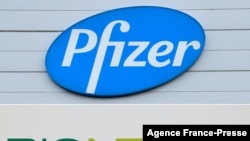 На фото: Логотипи американської фармацевтичної компанії Pfizer і німецької - BioNTech