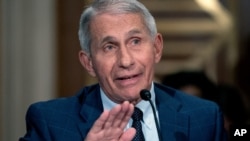 ARCHIVO - El Dr. Anthony Fauci, director del Instituto Nacional de Alergias y Enfermedades Infecciosas, testifica ante la Comisión Senatorial de Salud, Educación, Trabajo y Pensiones en el edificio de oficinas del Senado Dirksen en Washington, el 20 de julio de 2021.
