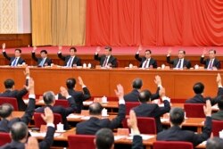 2021年11月11日，习近平等中共领导人在中共19届6中全会上举手表决。（美联社/新华社照片）