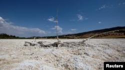 منظره ای از دریاچه الیزابت در لس‌آنجلس، کالیفرنیا که به خاطر گرمای شدید و خشکسالی برای چندین سال خشک شده است (آرشیو)