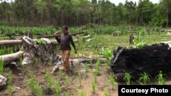 រូបឯកសារ៖ ប្រជាពលរដ្ឋ​ជនជាតិ​ភាគ​តិច​ទំពួន រស់នៅ​ស្រុក​អណ្តូង​មាស ខេត្ត​រតនៈគីរី ដែល​ទទួល​រងគ្រោះ​ដោយ​សារ​ការ​គម្រោង​ដី​សម្បទាន​សេដ្ឋកិច្ច​របស់​រដ្ឋាភិបាល​ជាមួយ​នឹង​ក្រុមហ៊ុន​ឯកជន។ (Courtesy Photo)