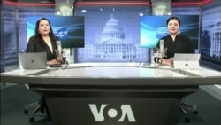 بي بي شیرینه: په ټیلې ویژن