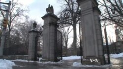 Dindorlar: dron hujumlarini bas qiling!